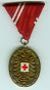Red Cross Merit Medal, Bronze