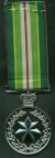 Active Service Medal
