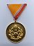 30 yr Medal of Merit for Defence