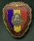 Champion in the Military Contest Pin