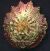 Order of labor, 3rd Class