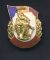 WW 2 Vetran's Badge