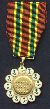 Combat Medal